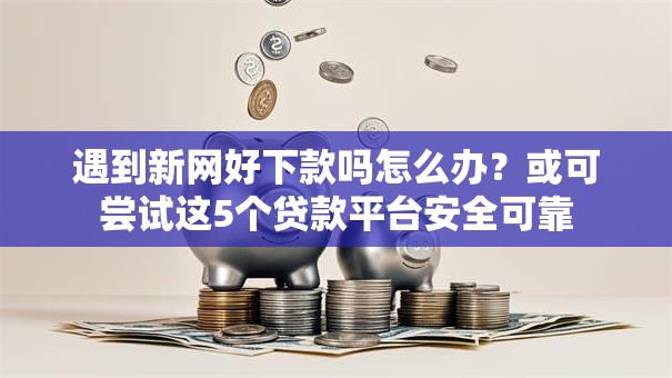 遇到新网好下款吗怎么办？或可尝试这5个贷款平台安全可靠