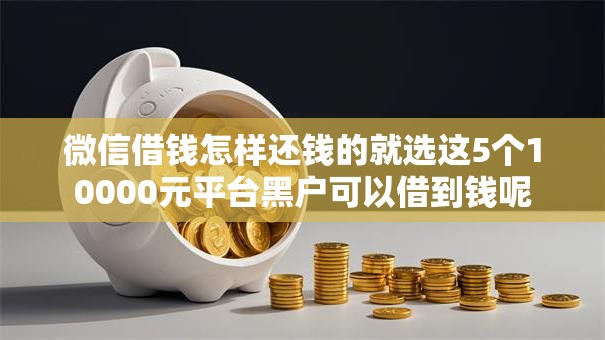 微信借钱怎样还钱的就选这5个10000元平台黑户可以借到钱呢