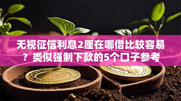 无视征信利息2厘在哪借比较容易？类似强制下款的5个口子参考