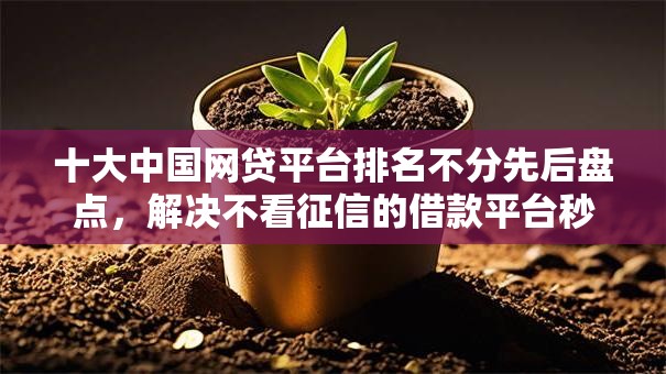 十大中国网贷平台排名不分先后盘点，解决不看征信的借款平台秒到的问题