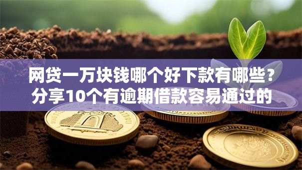 网贷一万块钱哪个好下款有哪些？分享10个有逾期借款容易通过的平台