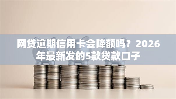 网贷逾期信用卡会降额吗？2026年最新发的5款贷款口子