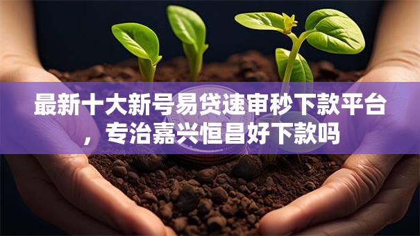 最新十大新号易贷速审秒下款平台，专治嘉兴恒昌好下款吗