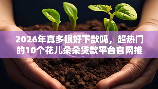 2026年真多银好下款吗，超热门的10个花儿朵朵贷款平台官网推荐