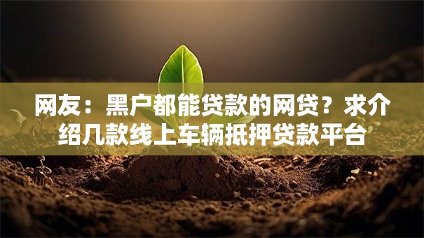 网友：黑户都能贷款的网贷？求介绍几款线上车辆抵押贷款平台