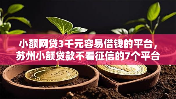 小额网贷3千元容易借钱的平台，苏州小额贷款不看征信的7个平台介绍