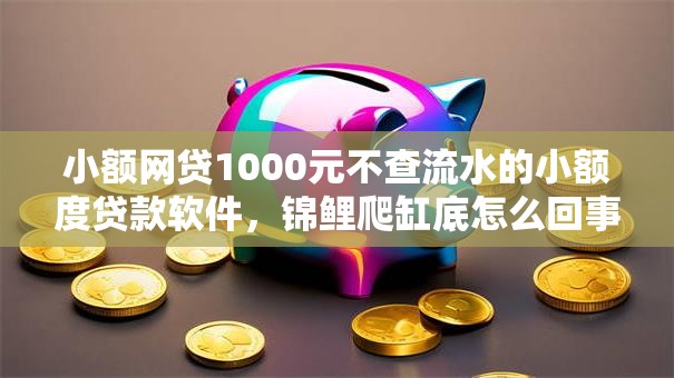 小额网贷1000元不查流水的小额度贷款软件，锦鲤爬缸底怎么回事的6个平台介绍