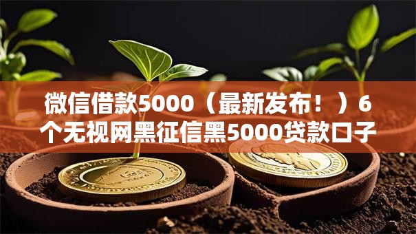 微信借款5000(最新发布!)6个无视网黑征信黑5000贷款口子 微信借款5000(最新发布!)6个无视网黑征信黑5000贷款口子