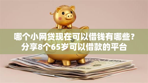哪个小网贷现在可以借钱有哪些?分享8个65岁可以借款的平台 哪个小网贷现在可以借钱有哪些?分享8个65岁可以借款的平台