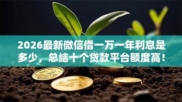 2026最新微信借一万一年利息是多少，总结十个贷款平台额度高！