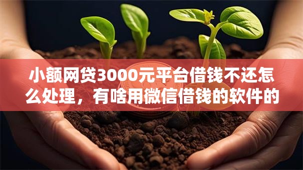 小额网贷3000元平台借钱不还怎么处理,有啥用微信借钱的软件的7个平台介绍 小额网贷3000元平台借钱不还怎么处理,有啥用微信借钱的软件的7个平台介绍