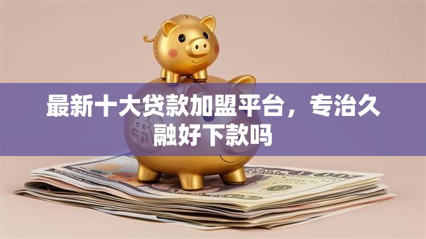 最新十大贷款加盟平台,专治久融好下款吗 最新十大贷款加盟平台,专治久融好下款吗