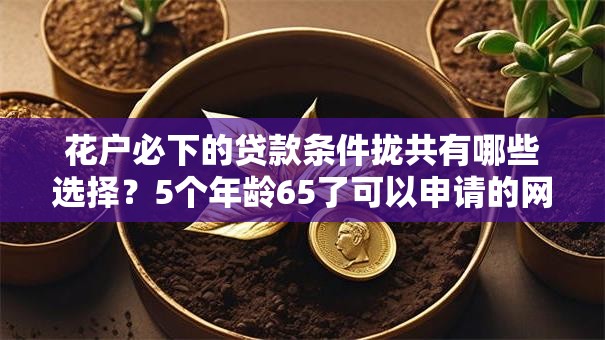 花户必下的贷款条件拢共有哪些选择?5个年龄65了可以申请的网贷平台详解 花户必下的贷款条件拢共有哪些选择?5个年龄65了可以申请的网贷平台详解
