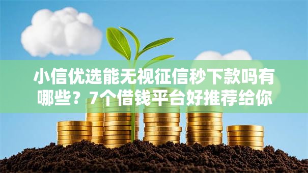 小信优选能无视征信秒下款吗有哪些？7个借钱平台好推荐给你