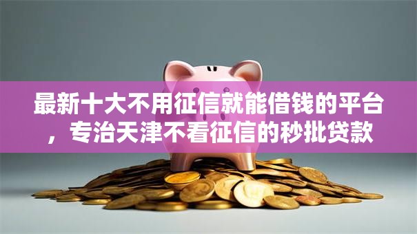 最新十大不用征信就能借钱的平台，专治天津不看征信的秒批贷款