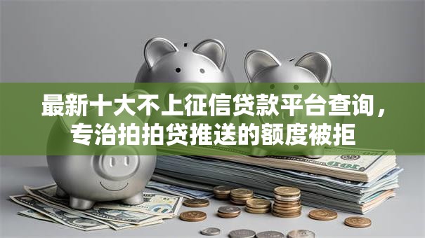 最新十大不上征信贷款平台查询，专治拍拍贷推送的额度被拒