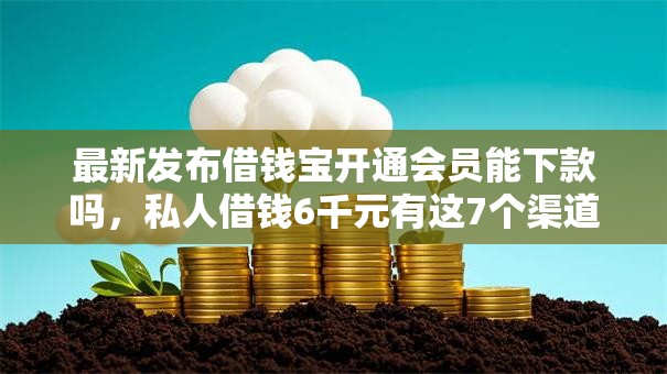 最新发布借钱宝开通会员能下款吗,私人借钱6千元有这7个渠道 最新发布借钱宝开通会员能下款吗,私人借钱6千元有这7个渠道