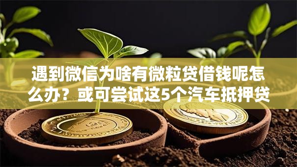 遇到微信为啥有微粒贷借钱呢怎么办?或可尝试这5个汽车抵押贷款平台好 遇到微信为啥有微粒贷借钱呢怎么办?或可尝试这5个汽车抵押贷款平台好