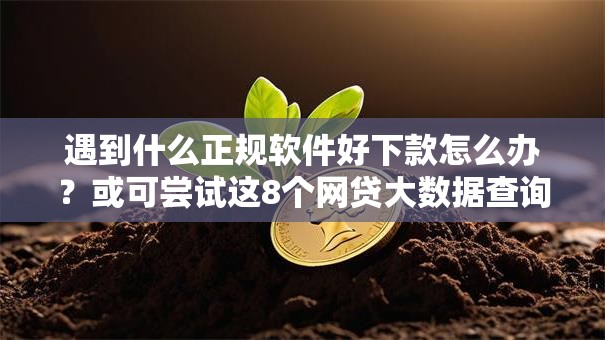 遇到什么正规软件好下款怎么办?或可尝试这8个网贷大数据查询平台 遇到什么正规软件好下款怎么办?或可尝试这8个网贷大数据查询平台