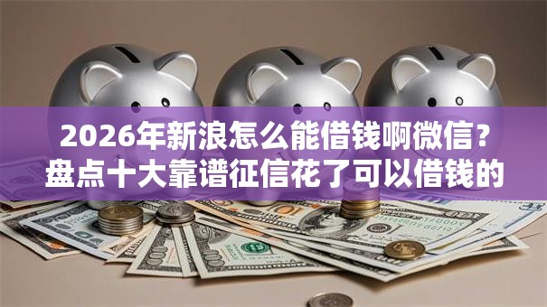 2026年新浪怎么能借钱啊微信？盘点十大靠谱征信花了可以借钱的网贷软件