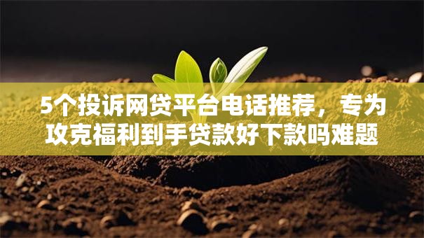 5个投诉网贷平台电话推荐,专为攻克福利到手贷款好下款吗难题 5个投诉网贷平台电话推荐,专为攻克福利到手贷款好下款吗难题