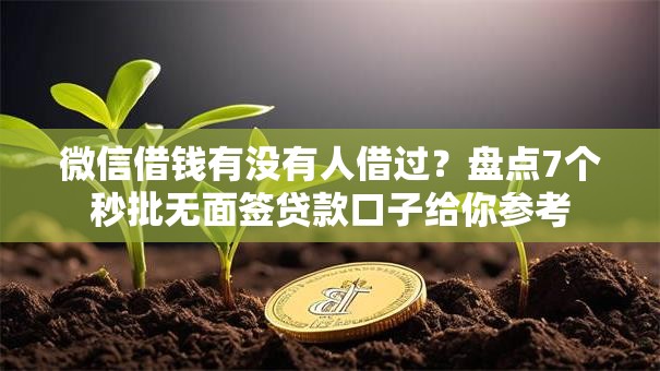 微信借钱有没有人借过？盘点7个秒批无面签贷款口子给你参考