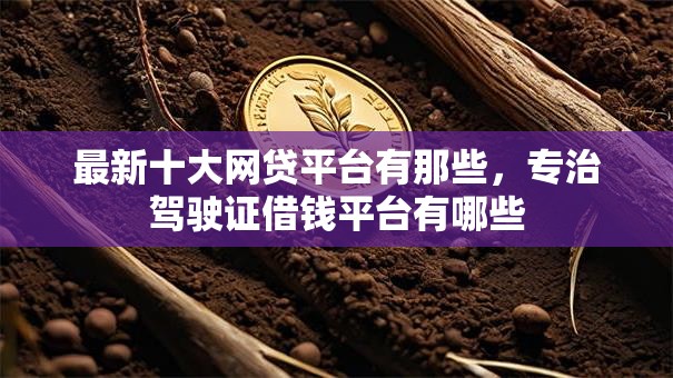 最新十大网贷平台有那些，专治驾驶证借钱平台有哪些