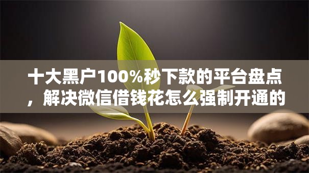 十大黑户100%秒下款的平台盘点，解决微信借钱花怎么强制开通的问题