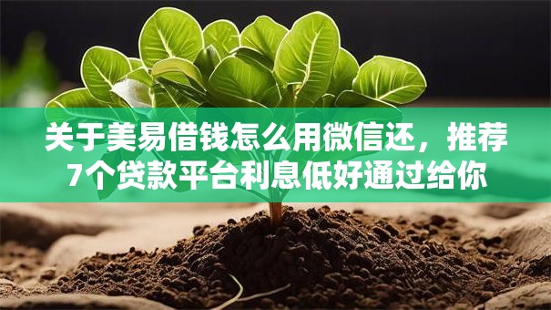 关于美易借钱怎么用微信还，推荐7个贷款平台利息低好通过给你