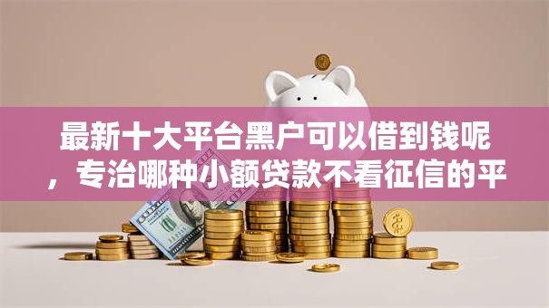 最新十大平台黑户可以借到钱呢，专治哪种小额贷款不看征信的平台