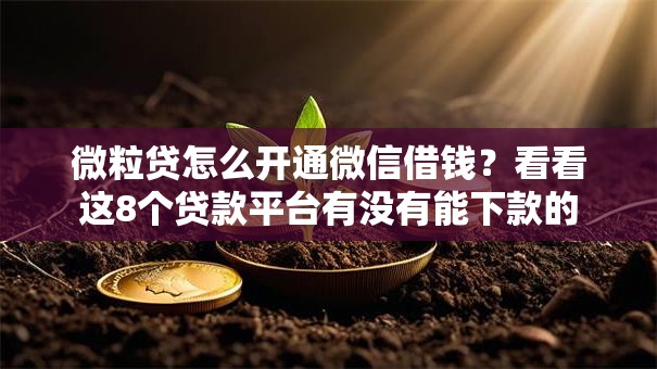 微粒贷怎么开通微信借钱?看看这8个贷款平台有没有能下款的 微粒贷怎么开通微信借钱?看看这8个贷款平台有没有能下款的