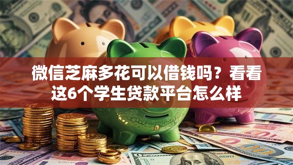 微信芝麻多花可以借钱吗?看看这6个学生贷款平台怎么样 微信芝麻多花可以借钱吗?看看这6个学生贷款平台怎么样