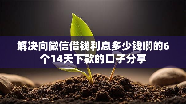 解决向微信借钱利息多少钱啊的6个14天下款的口子分享