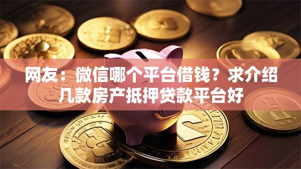 网友：微信哪个平台借钱？求介绍几款房产抵押贷款平台好