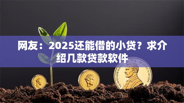 网友：2025还能借的小贷？求介绍几款贷款软件