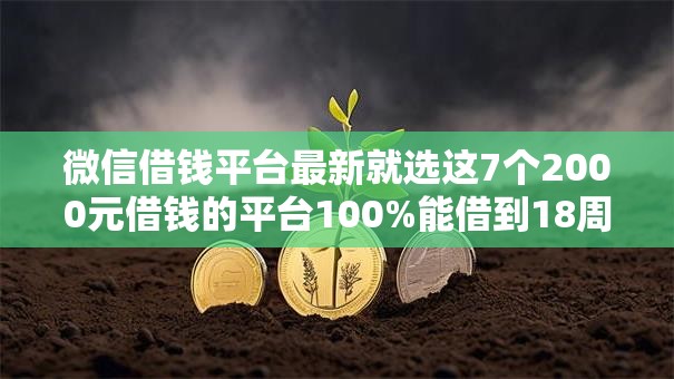 微信借钱平台最新就选这7个2000元借钱的平台100%能借到18周岁