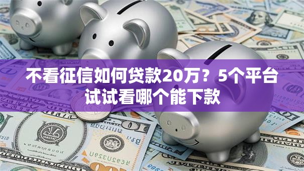 不看征信如何贷款20万？5个平台试试看哪个能下款