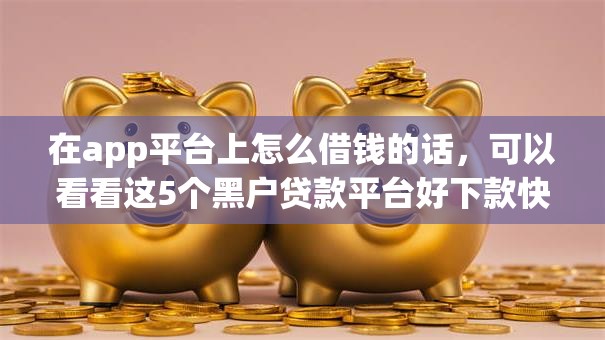 在app平台上怎么借钱的话，可以看看这5个黑户贷款平台好下款快