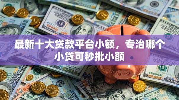 最新十大贷款平台小额,专治哪个小贷可秒批小额 最新十大贷款平台小额,专治哪个小贷可秒批小额