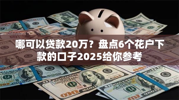 哪可以贷款20万？盘点6个花户下款的口子2025给你参考