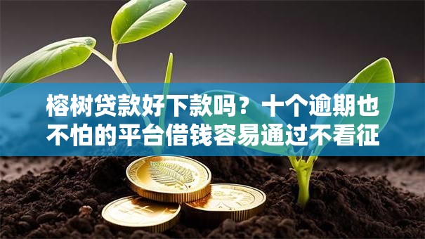 榕树贷款好下款吗?十个逾期也不怕的平台借钱容易通过不看征信 榕树贷款好下款吗?十个逾期也不怕的平台借钱容易通过不看征信