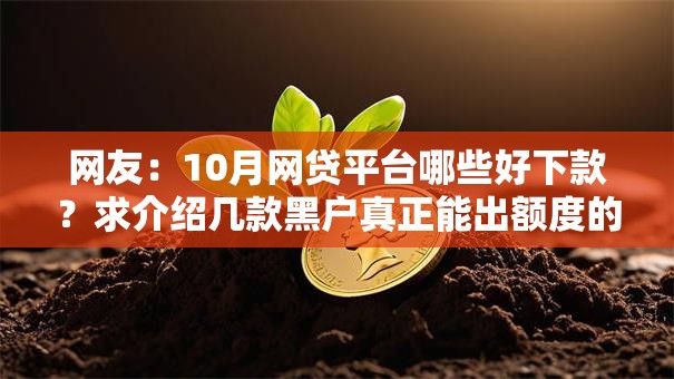 网友：10月网贷平台哪些好下款？求介绍几款黑户真正能出额度的软件