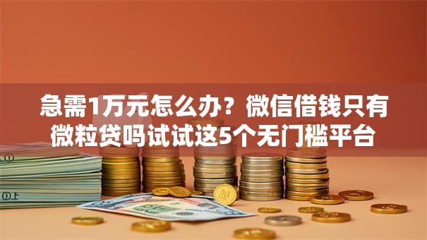 急需1万元怎么办?微信借钱只有微粒贷吗试试这5个无门槛平台 急需1万元怎么办?微信借钱只有微粒贷吗试试这5个无门槛平台