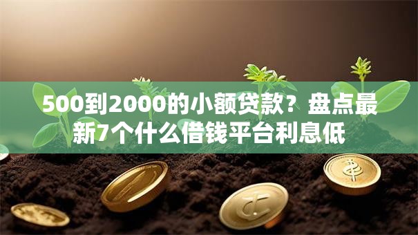 500到2000的小额贷款？盘点最新7个什么借钱平台利息低