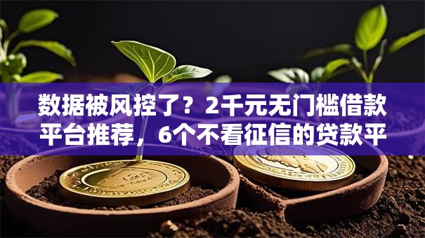 数据被风控了?2千元无门槛借款平台推荐,6个不看征信的贷款平台一定能下款盘点 数据被风控了?2千元无门槛借款平台推荐,6个不看征信的贷款平台一定能下款盘点