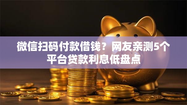 微信扫码付款借钱？网友亲测5个平台贷款利息低盘点