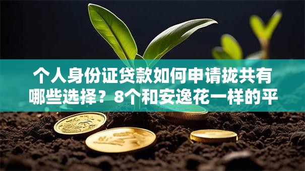 个人身份证贷款如何申请拢共有哪些选择？8个和安逸花一样的平台详解