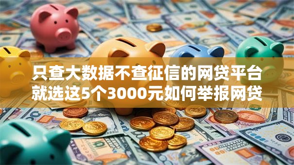 只查大数据不查征信的网贷平台就选这5个3000元如何举报网贷平台 只查大数据不查征信的网贷平台就选这5个3000元如何举报网贷平台