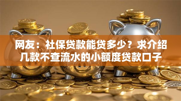 网友：社保贷款能贷多少？求介绍几款不查流水的小额度贷款口子