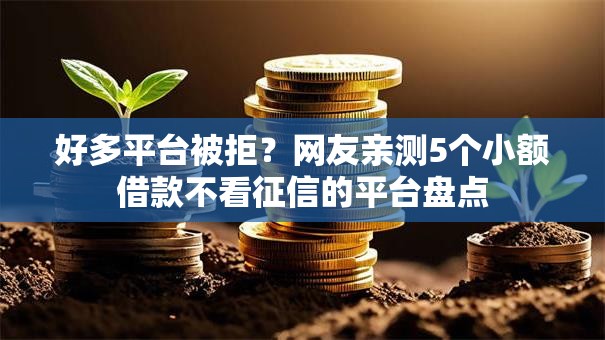 好多平台被拒？网友亲测5个小额借款不看征信的平台盘点